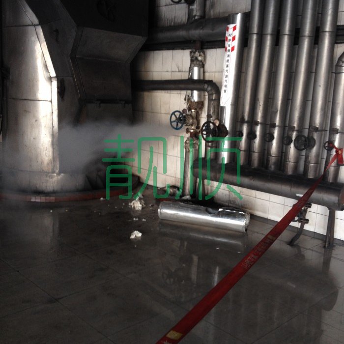 側(cè)輔汽手動總門門前法蘭